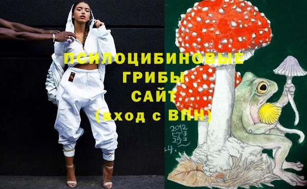 таблы Алексеевка