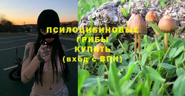 таблы Алексеевка