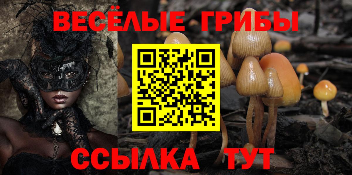 хочу наркоту  Вход с VPN  Звенигород  Псилоцибиновые грибы Psilocybe 
